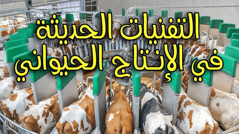 قسم تقنية الأنتاج الحيواني