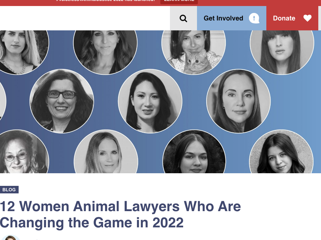 12 Women Animal Lawyers Who Are Changing The Game In 2022, March 8, 2022