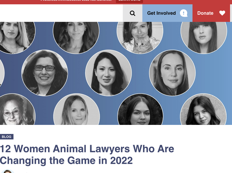 12 Women Animal Lawyers Who Are Changing The Game In 2022, March 8, 2022