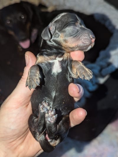 Our Policies &amp; Contract image