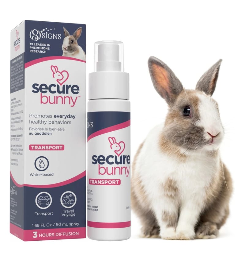 Secure bunny (Transport) * Spray