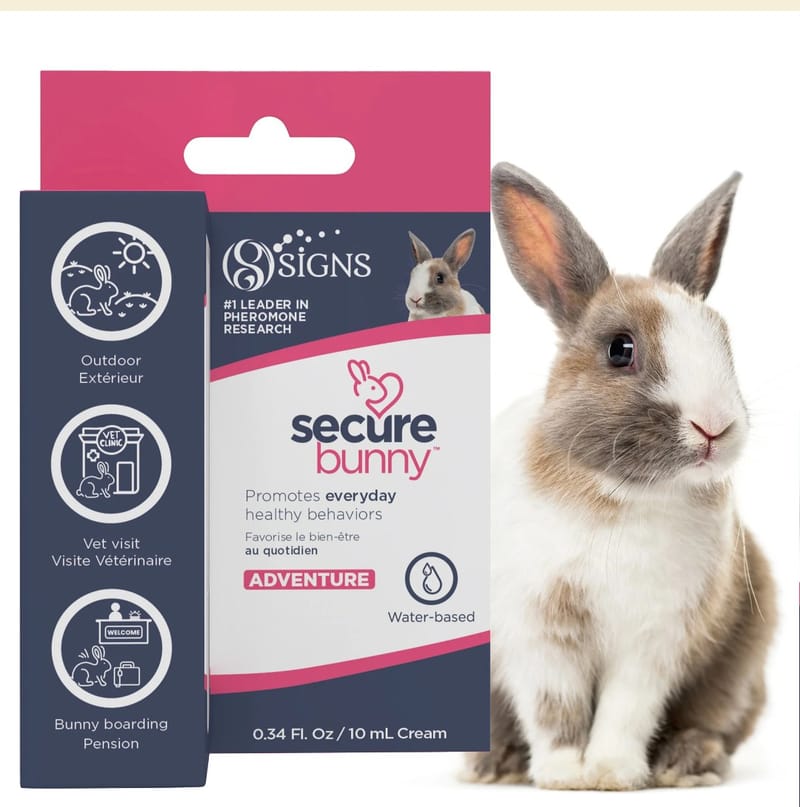 Secure bunny (Adventure) * Cream
