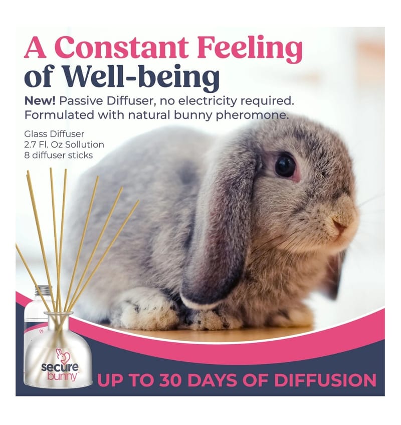 Secure bunny (Refill Recharge)