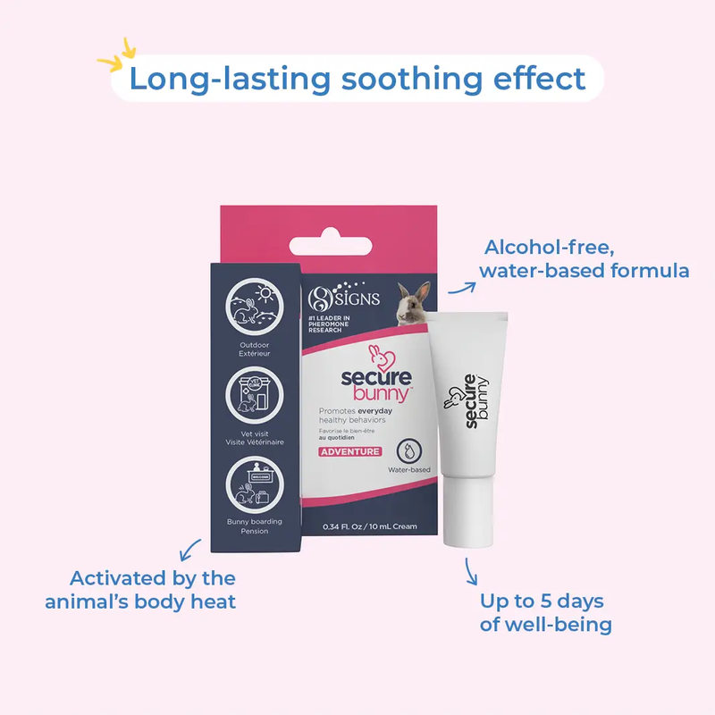 Secure bunny cream (Adventure)