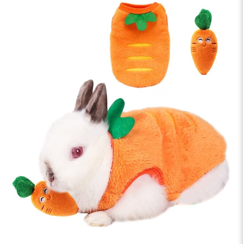 Carrot bunny
