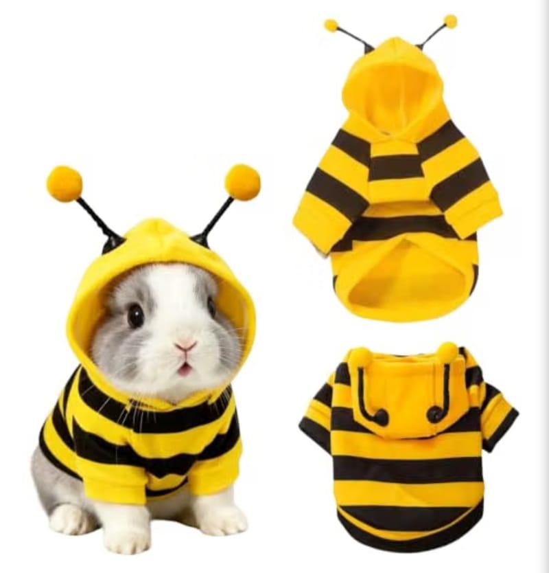 Bumble bee bunny