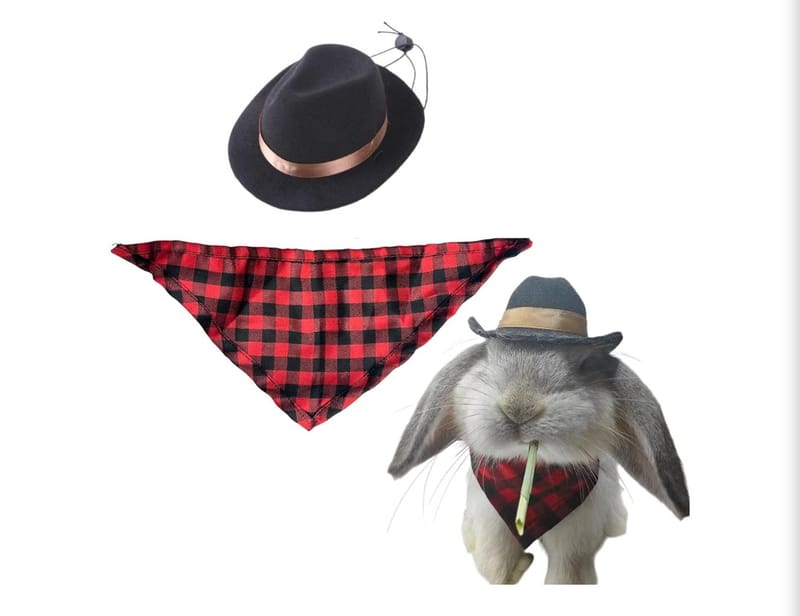Cowboy bunny