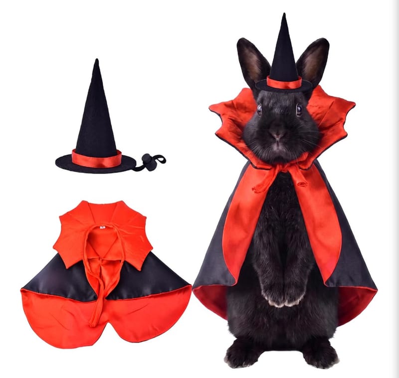 Dracula bunny
