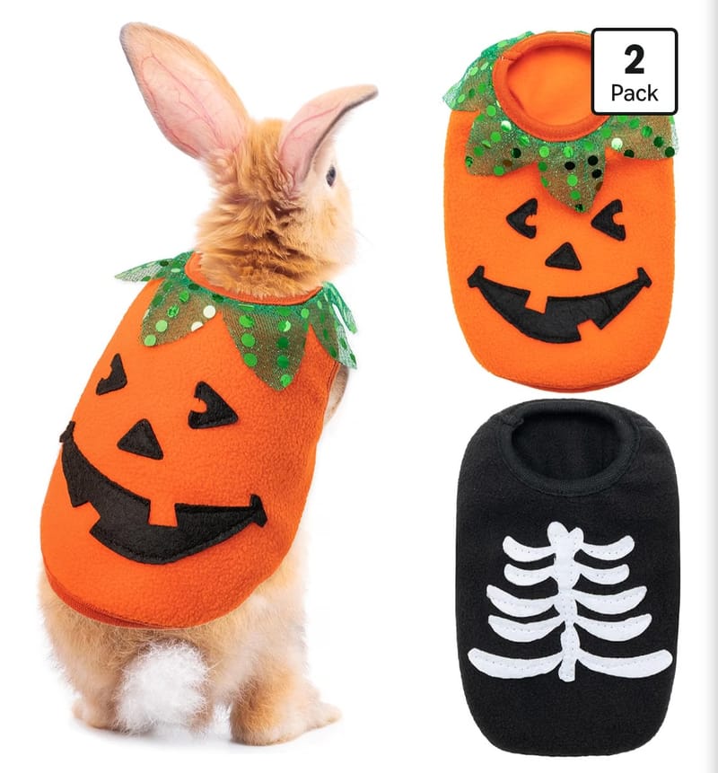 Pumpkin & skeleton onesies