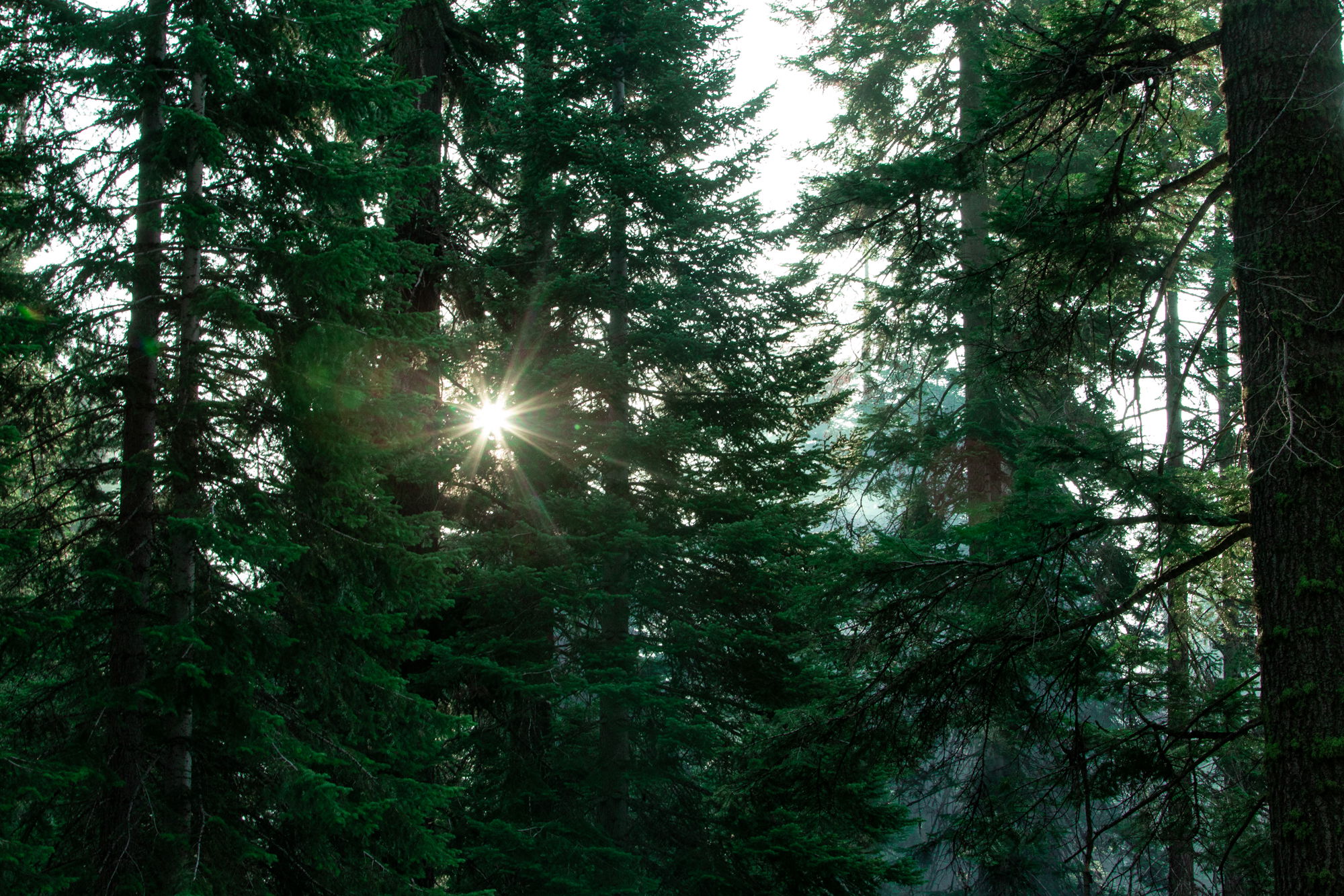 Sunrise Saturday Morning