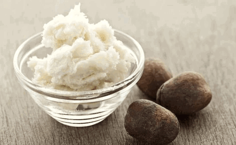 Shea Butter Shea Nuts