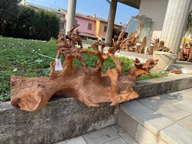 Legno Di Mangrovia Amtra Per Acquari - Decorazione Naturale Per Acquascaping
