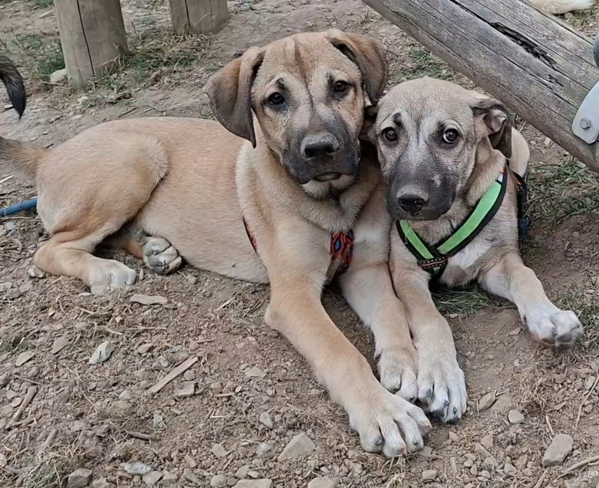 Maxi und Moritz