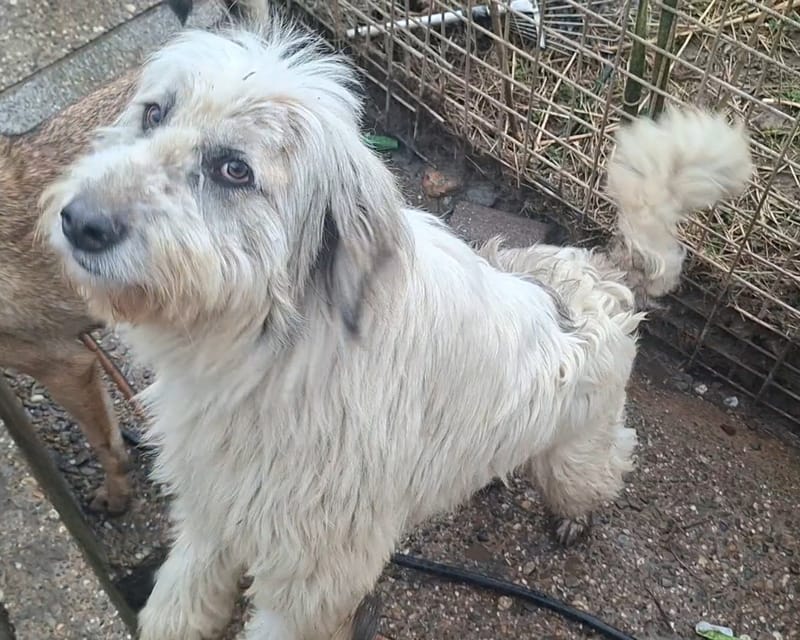 Flocke ist reserviert