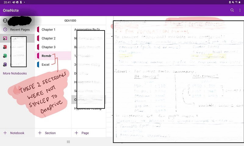OneNote