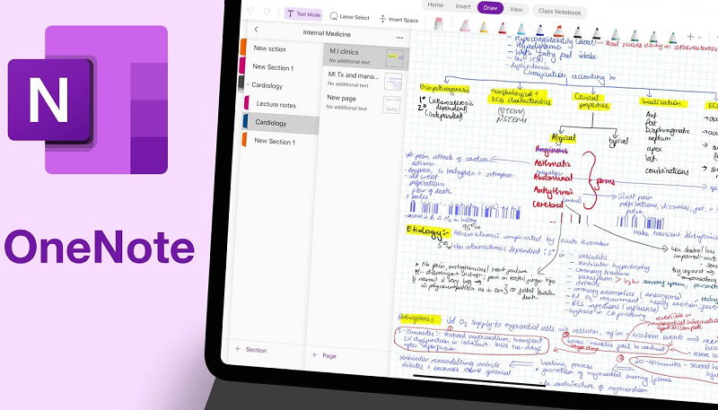 OneNote