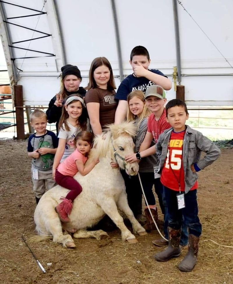 Equestrian Performance 101