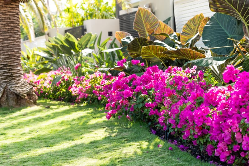 Landscape Design