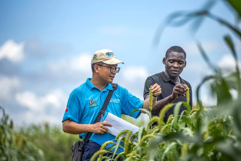 China Supports Uganda with Rice Donation and Farming Expertise