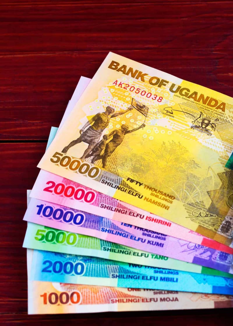 Uganda Shilling Emerges as Africa’s Best-Performing Currency, Appreciating by 6.1% in the Past Year