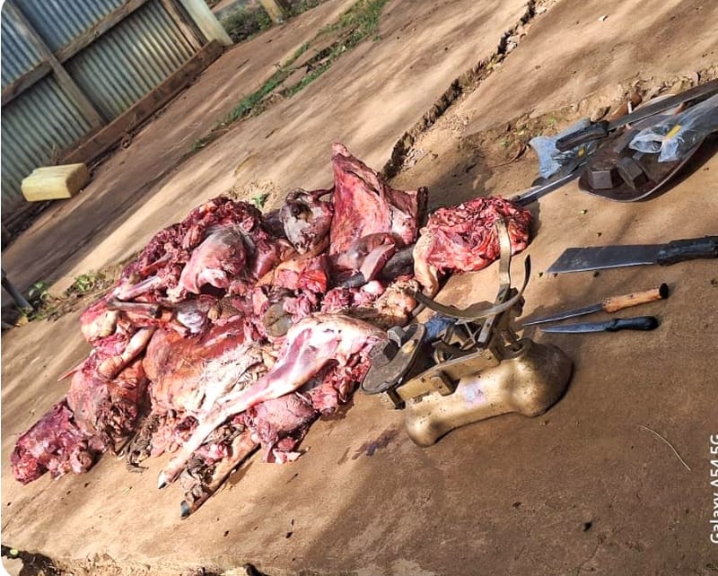Police Arrest Four in Nebbi for Violating Animal Quarantine Rules