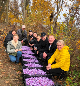 ПІЗНАВАЛЬНА ЕКСКУРСІЯ: СТУДЕНТИ КОЛЕДЖУ НА ШАФРАНОВОМУ ПОЛІ
