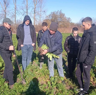 ВІД ТЕОРІЇ ДО ПРАКТИКИ: ПОКРИВНІ КУЛЬТУРИ НА ПОЛІ