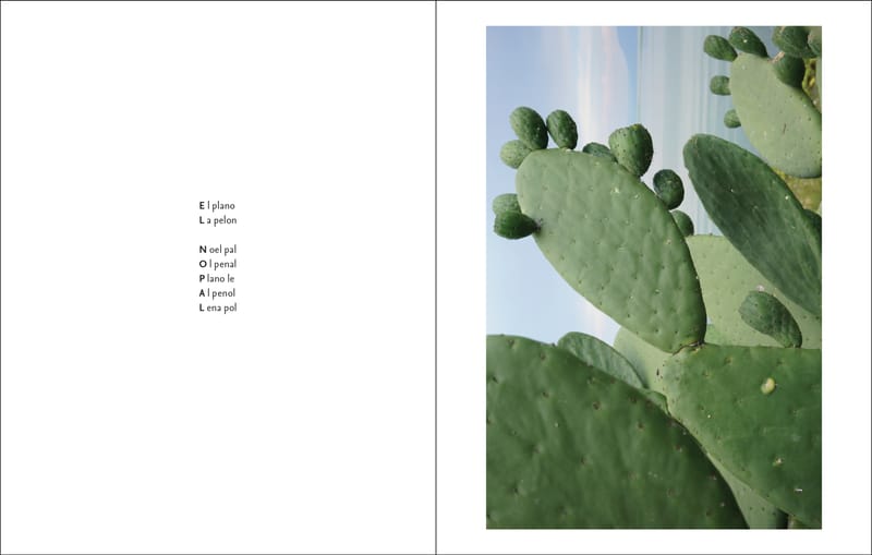 Relotía…Letario…Loteria - An Exhibit by  David Schulz