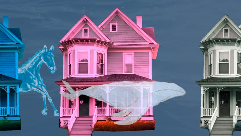 Ecosystems in Motion