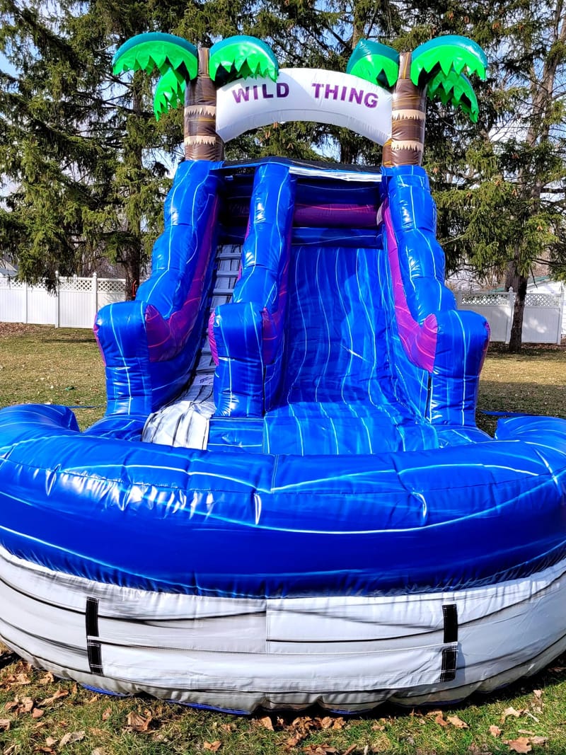 Wild Thing Waterslide All Day - Jumpitt Inflatables