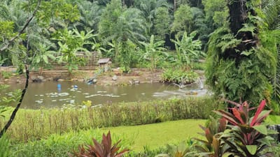 جواهر سرية في تايلاند: الجزر الغامضة والساحرة التي تنتظركم بالقرب من بوكيت