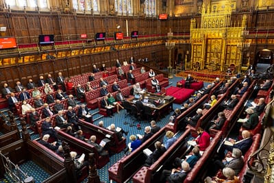 Another Submission to the House of Lords Constitution Committee