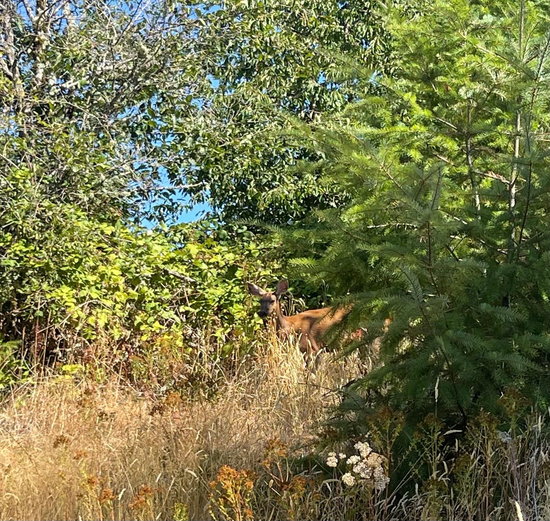 August 2024 - A special visitor