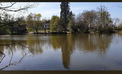 BROADFIELD PARK FISHING