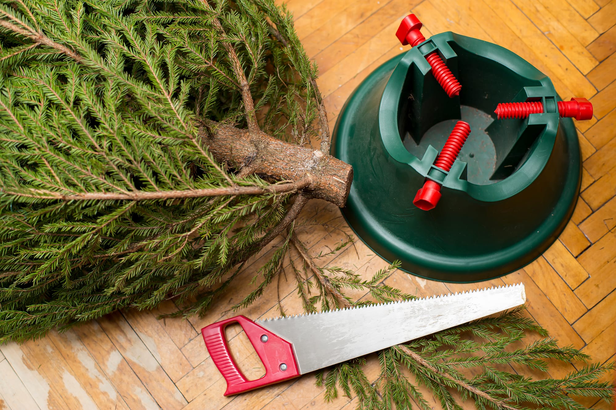 Cut Christmas Trees