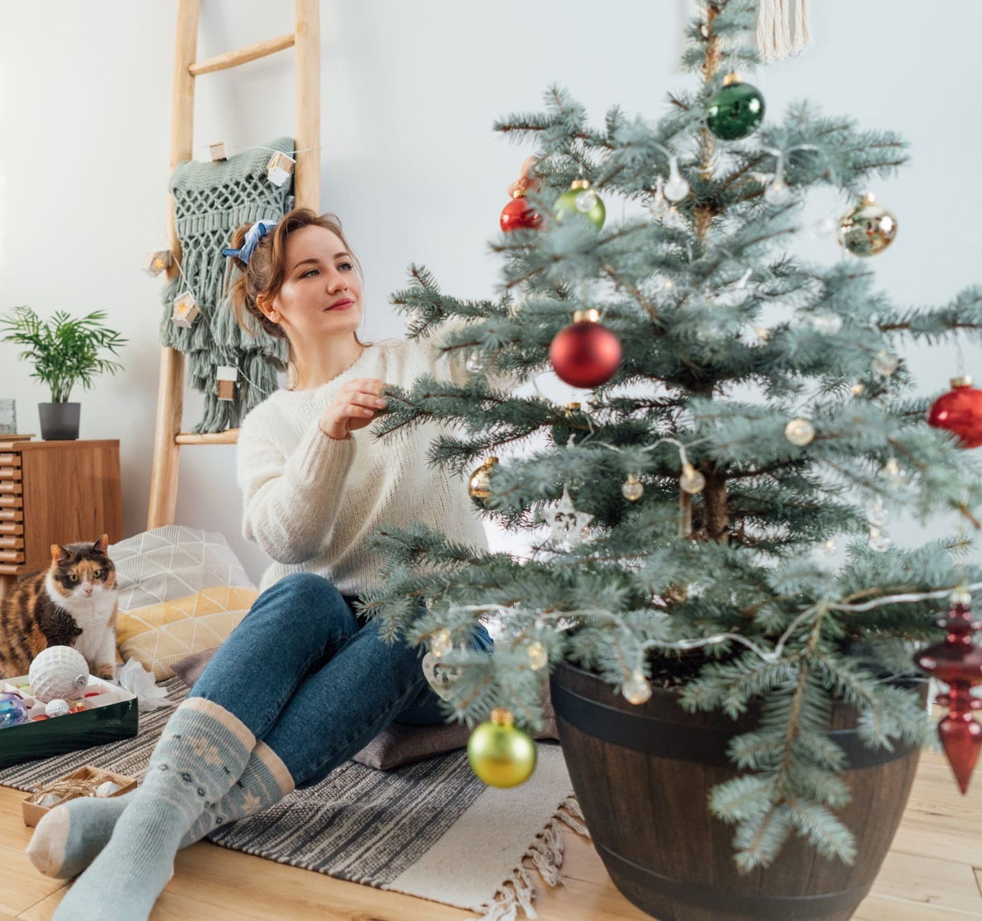 Potted Christmas Trees