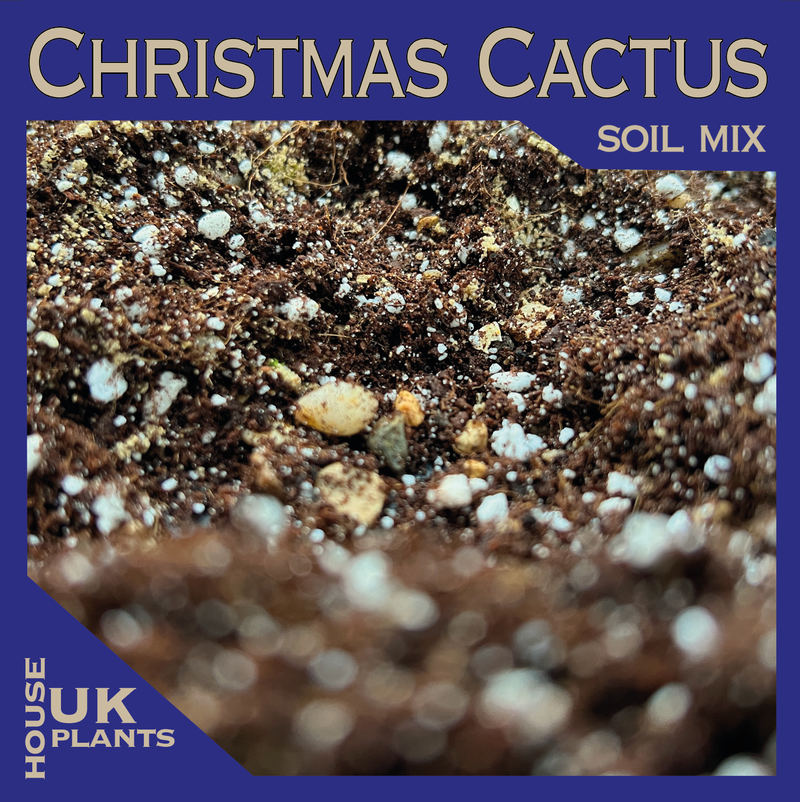 CHRISTMAS CACTUS Soil Mix (Repotting Compost for Tropical Cacti) 1-25L