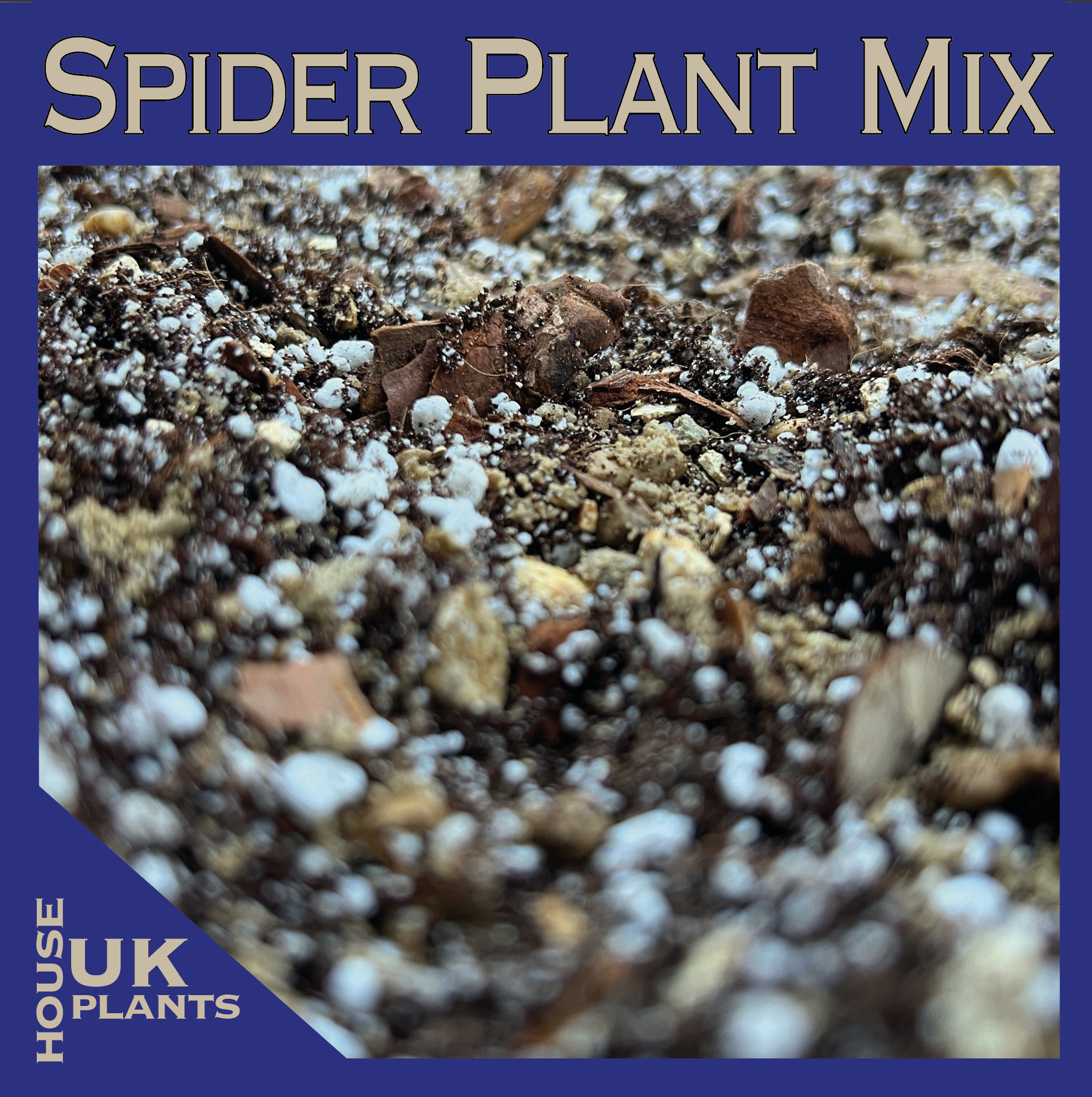 SPIDER PLANT Potting Soil Mix (Chlorophytum Comosum) Pest Free Compost