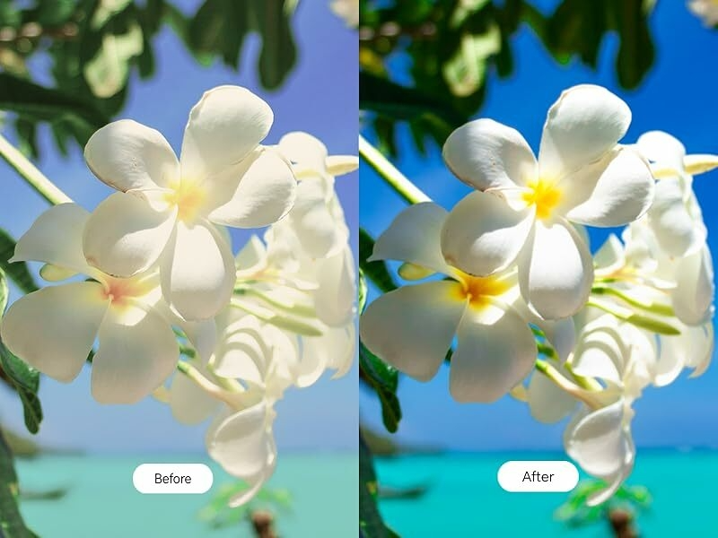 Sunlight Display Enhancement