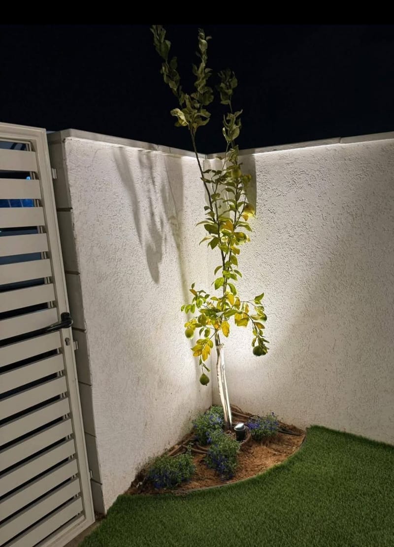 למכירה דירת גן 3 חדרים ברחוב מרדכי אליהו