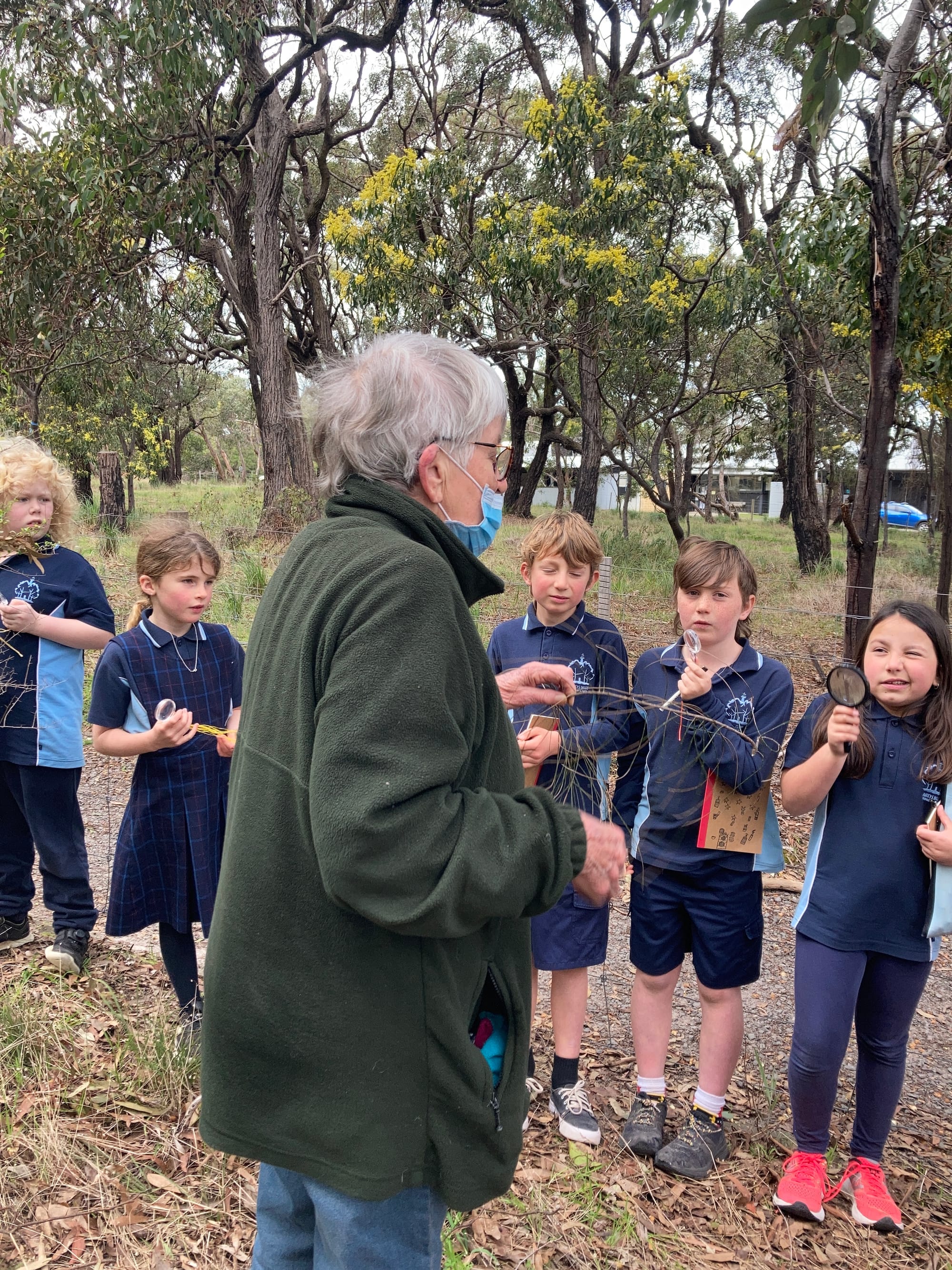 Plant character workshop (2021)