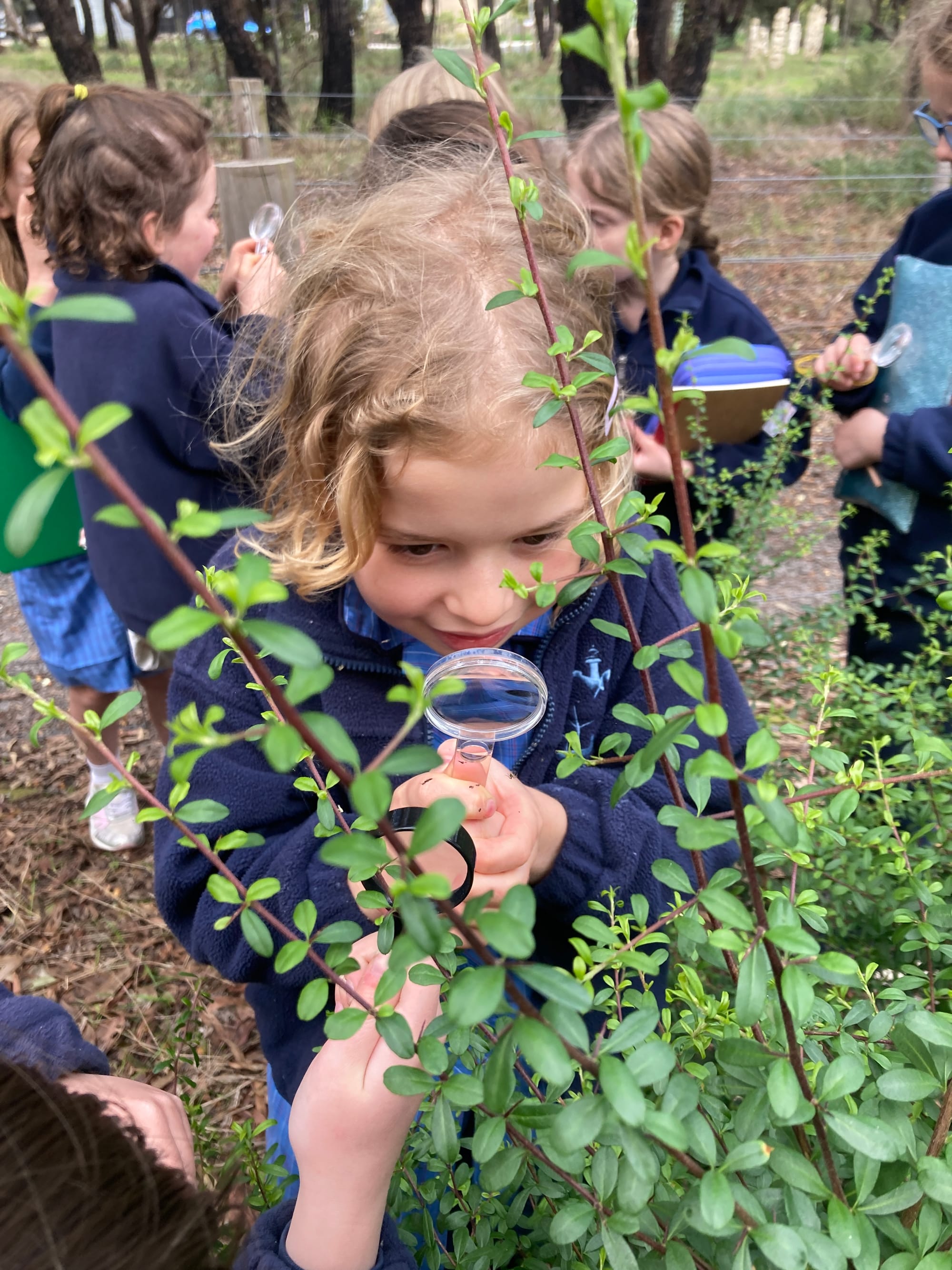 Plant character workshop (2021)