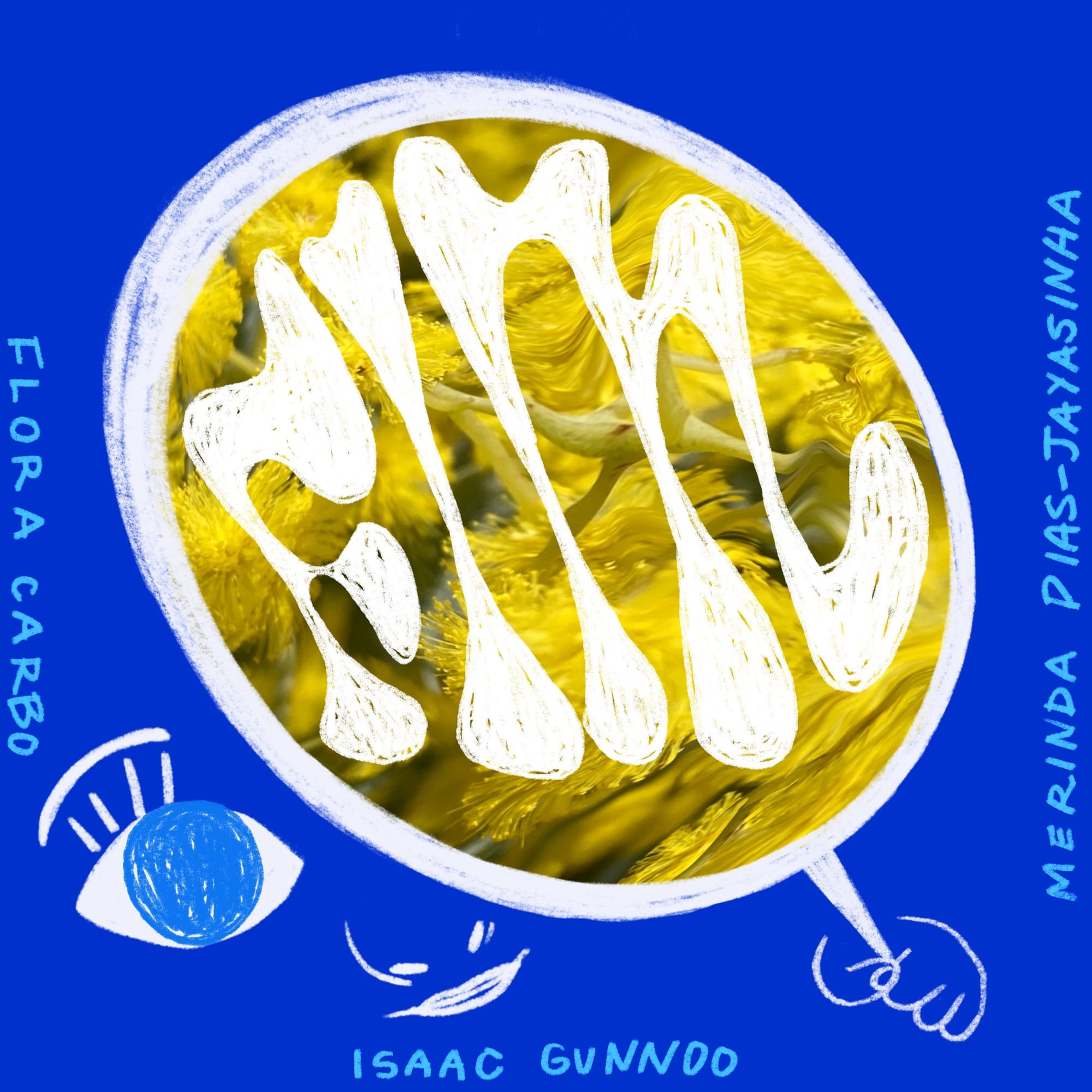 'FIM' album cover artwork
