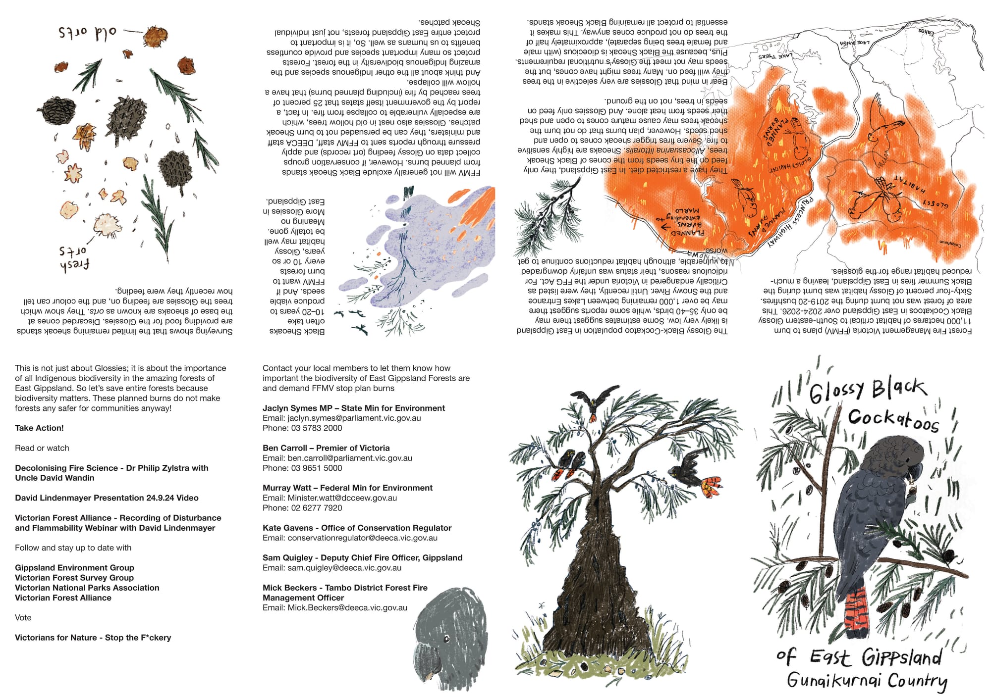 Glossy Black Cockatoo Zine - Side A