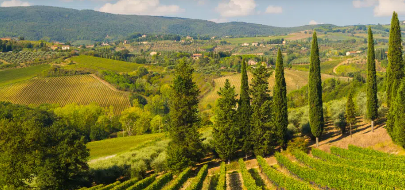 Toscana & Umbria brilham para investidores de luxo em 2025