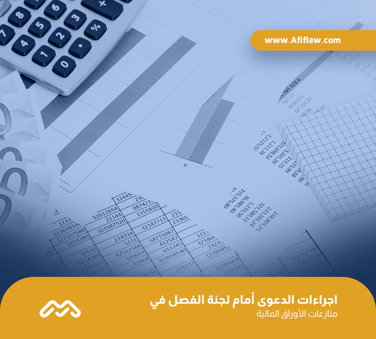 اجراءات الدعوى أمام لجنة الفصل في منازعات الأوراق المالية