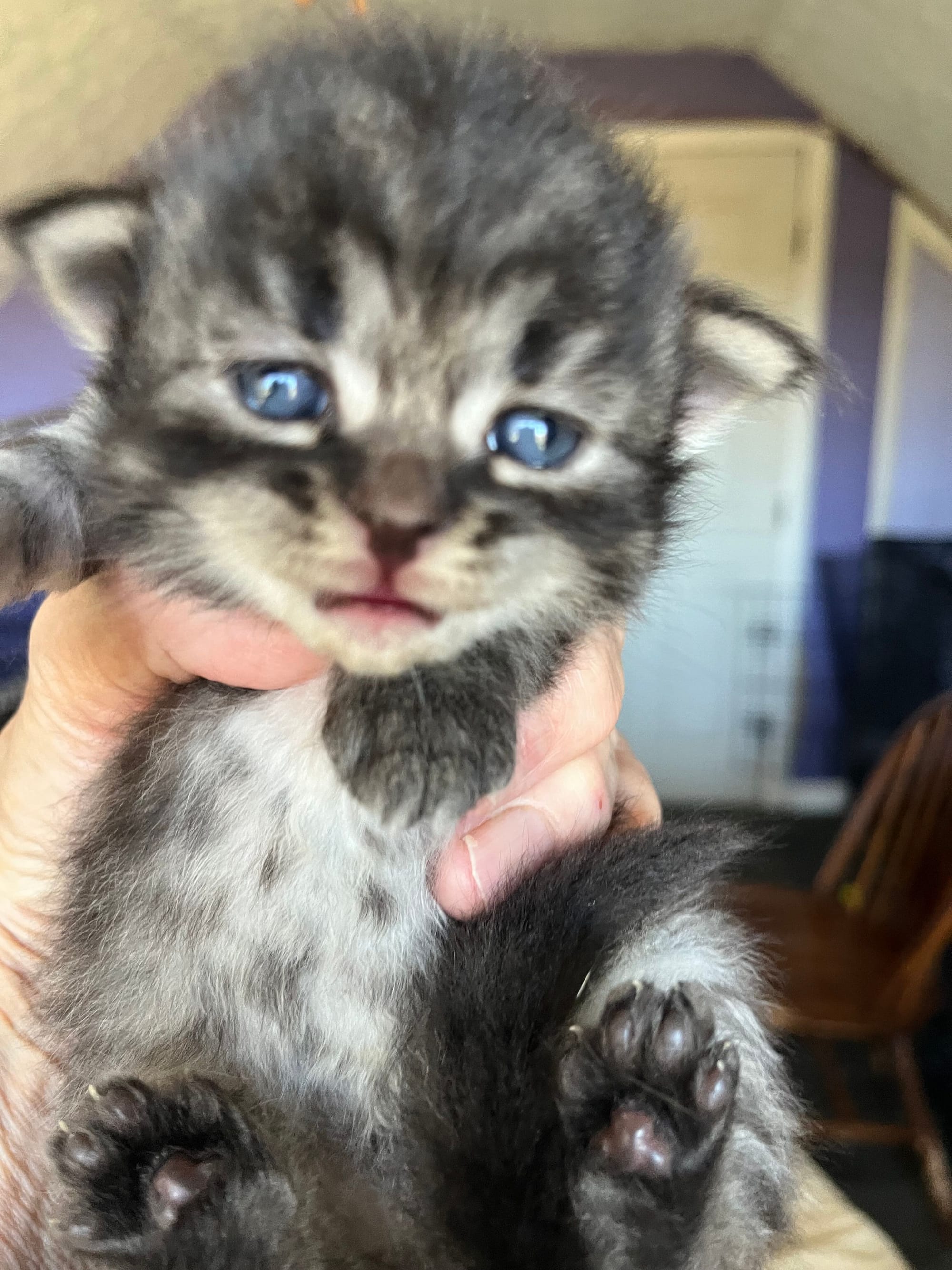 BOY