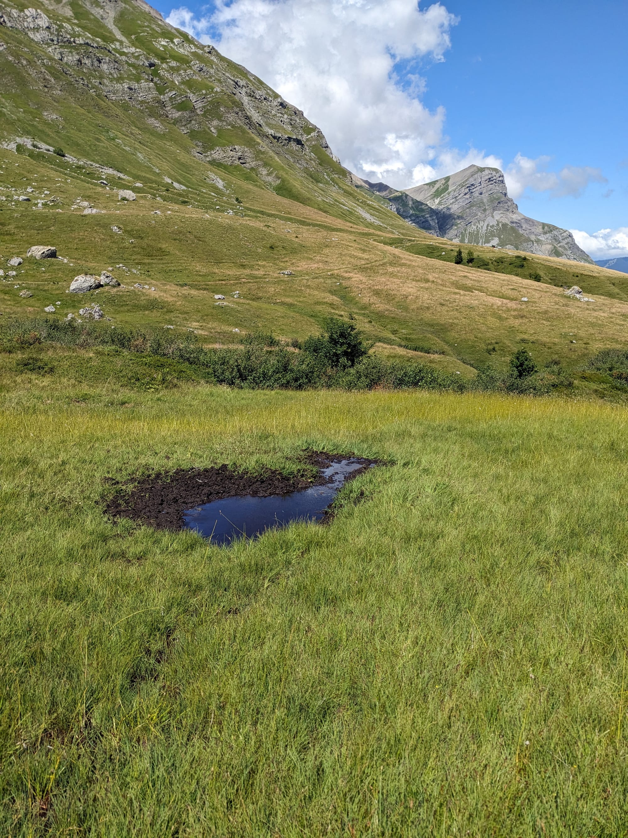 Mise à jour de l'inventaire zones humides - Aravis (2024-25)