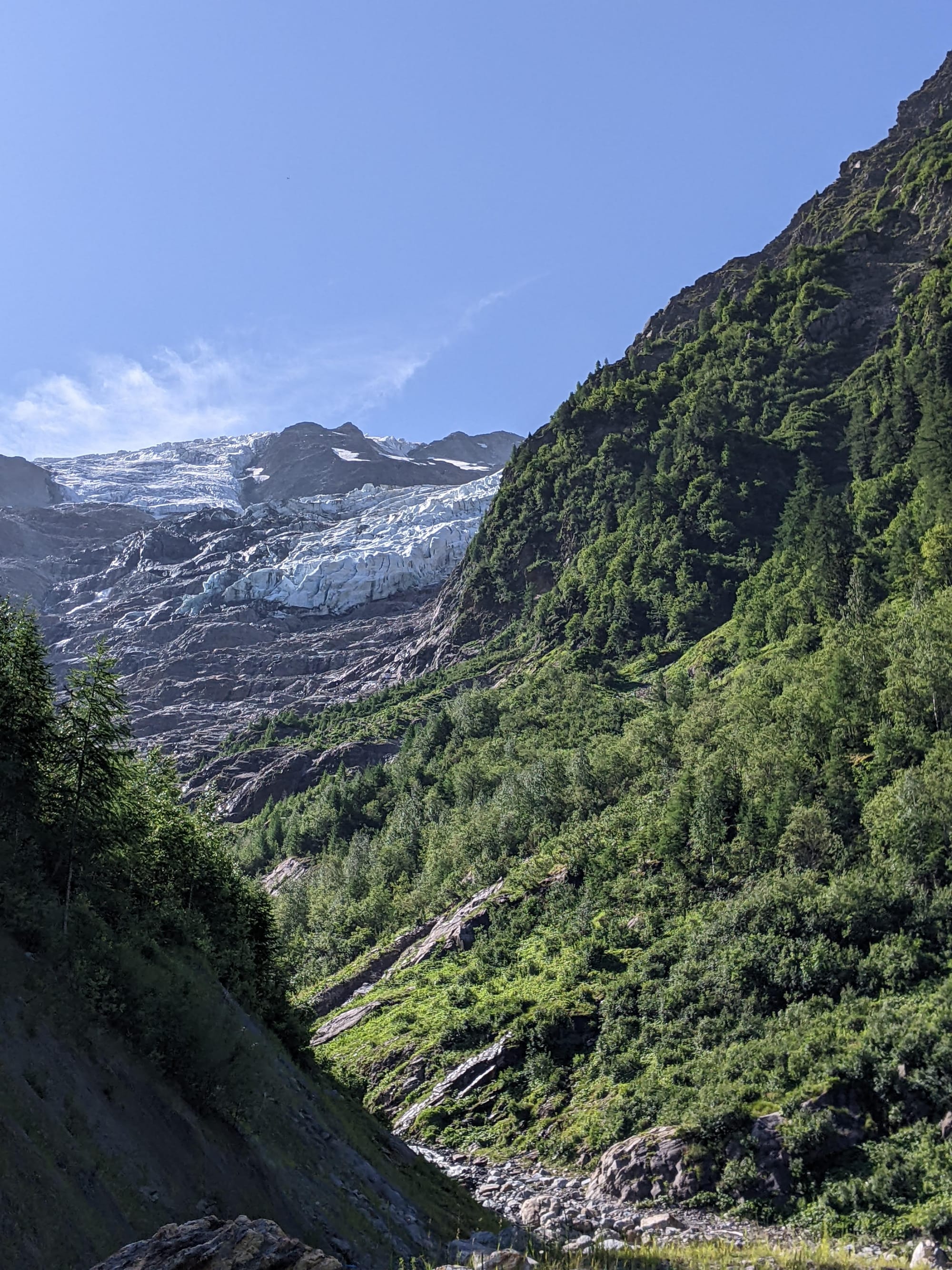 Suivi du Dactylorhiza de Traunsteiner - Voltalia (2020-25)