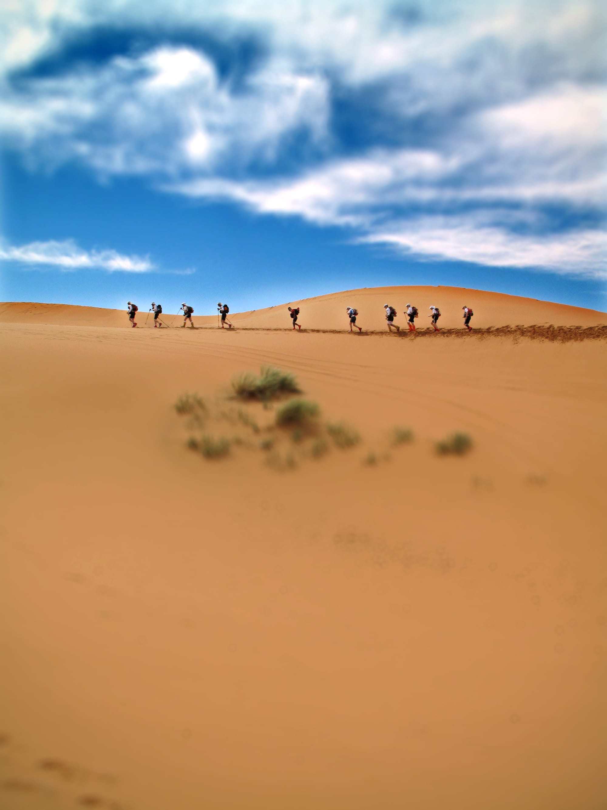 Sahara desert, Morocco 